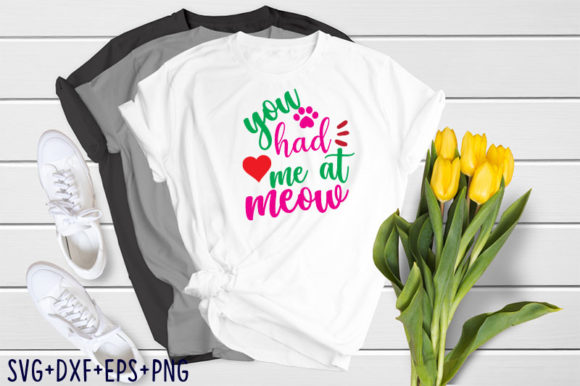 You Had Me at Meow